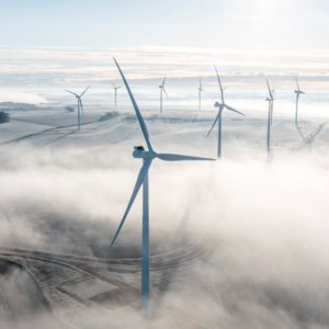 Quentic Included in 2026 Sustainability Management Software Report