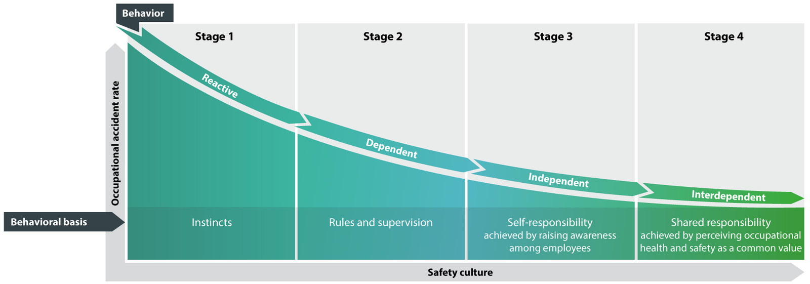 bradley curve safety culture occupational accident rate