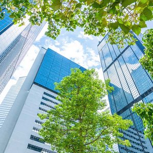 FigBytes (now Quentic) positioned as leader in the SPARK matrix sustainability report